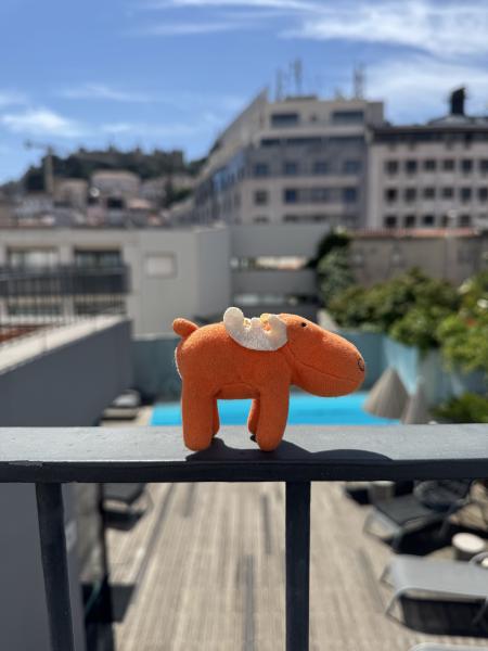 Lisbon 2025